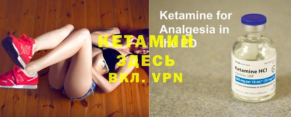 шишки Аркадак