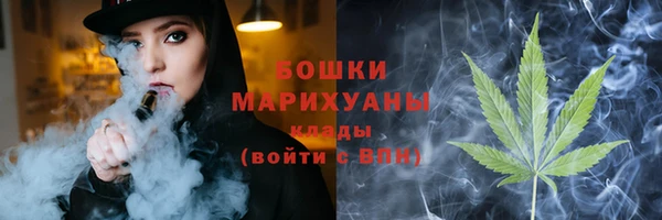 шишки Аркадак