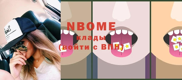 шишки Аркадак