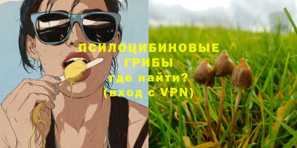 мдпв Армянск