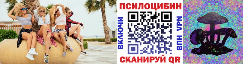 MEGA как зайти магазин наркотиков Ртищево Псилоцибиновые грибы GOLDEN TEACHER